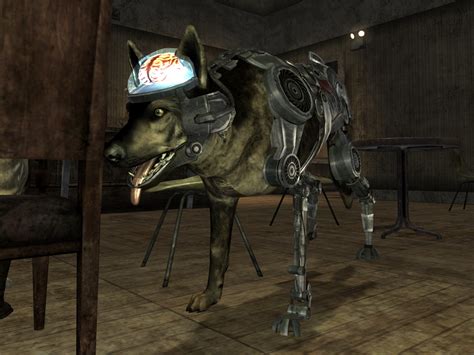 fallout nv rex|fallout new vegas rex well.